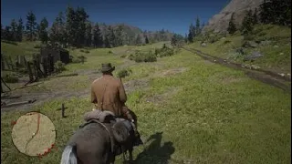 Red Dead Redemption 2_20240518124115