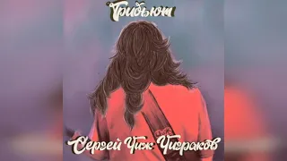 Трибьют Сергей "Чиж" Чиграков (2021)