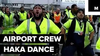 New Zealand Airport Crew Performs Haka Dance for Rugby World Cup Winners