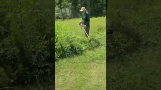 Weedeater Trying to Cut Really Thick Weeds