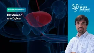 Obstrução urológica: o que é? | Dr. Cassio Andreoni CRM 78.546