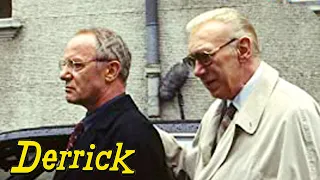 Derrick. Staffel 18, Folge 8 : Der Verteidiger