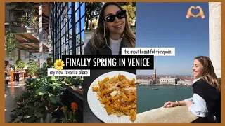 vlog6: finally SPRING in Venice