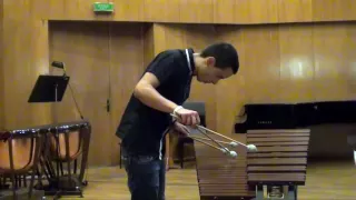 Transformation on Pachelbel's " Canon " - by Nanae Mimura - played by Miroslav Dimov