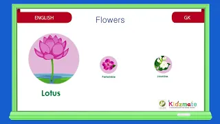 Flowers - Kidsmate LKG Term 1 GK