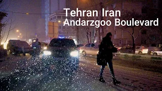 TEHRAN Iran 2022 - Walking on Andarzgoo Boulevard   تهران1400  اندرزگو