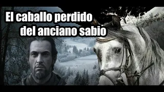 El Caballo Perdido Del Anciano Sabio (relato)