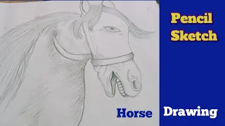 You Can Draw Horse Very Easily. Pencil Sketch .