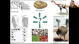 Oviraptorosaurs – The Growth and Hidden Diversity of North America’s Mysterious Bird-like Dinosaurs