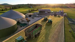 Mais 2021 auf der Biogasanlage Wolfhagen/250ha/13.000T großer Haufen