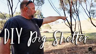 PIG BUILD: IBC shelter + sheep panel enclosure | Aussie homesteading