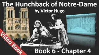 Book 06 - Chapter 4 - The Hunchback of Notre Dame by Victor Hugo - A Tear for a Drop of Water