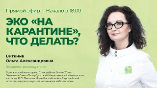 ЭКО во время коронавируса, что делать?