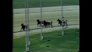 1986 Flamboro Downs NOBLELAND SAM Chip Noble-Confederation Cup Division Track Record