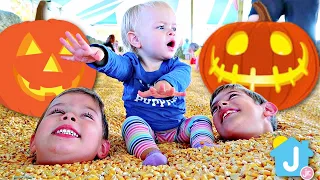 🎃Jack-O-Lanter Pumpkin Patch Fun!