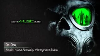 Dr. Dre - Smoke Weed Everyday (Hedegaard Remix) [HD | mp3]
