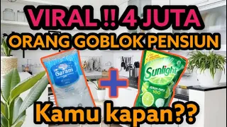 GAK DISANGKA GARAM DICAMPUR SUNLIGHT BISA JADI BEGINI!!!!!