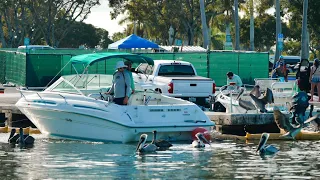 Typical Karen Boater Launches off Closed Ramp ( Chit Show)