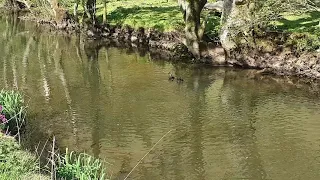 WOLFSCOTE DALE WALK IN THE PEAK DISTRICT 2020