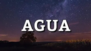 J Balvin x Tainy - Agua (Letra) (From Sponge On The Run)