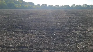 Підсумок по соняшнику. Яка урожайність сингенти під гранстар.