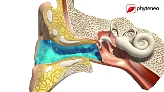 Jak používat ušní kapky Otic Solution při odstraňování vody a ušního mazu (čtěte návod k použití)