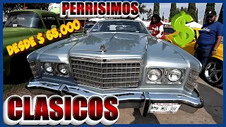 ¡¡ Aqui Venden Perrisimos Autos Clásicos desde $65,000 en el gran Bazar de la Carcacha Cdmx ¡¡ 😱