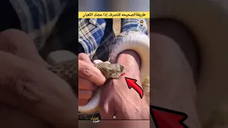 طريقة الصحيحه للتصرف إذا عضك الثعبان شاهد #shorts