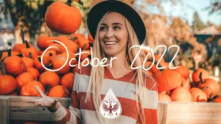 Indie/Rock/Alternative Compilation - October 2022 (2-Hour Playlist)