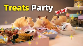 Surprising my Hamsters with a Mini Treats Buffet