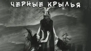 ЧЕРНЫЕ КРЫЛЬЯ | История на ночь | Черный Рик