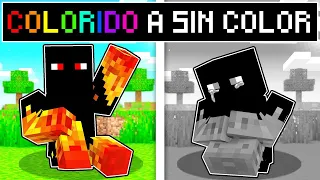 PERDÍ TODOS LOS COLORES EN MINECRAFT