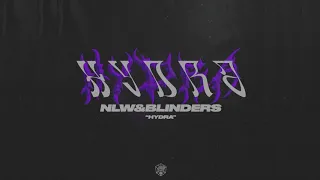 NLW & Blinders - Hydra (+ Afrojack & Steve Aoki feat. Miss Palmer - No Beef Acapella) [Extended]