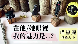 在他/她眼裡，我的獨特魅力是..？ 他對你的感覺？（字幕）無時間限制｜喵黛麗塔羅