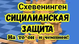 7) Лекция. Сицилианская защита. Схевенинген.  ( За белых. )