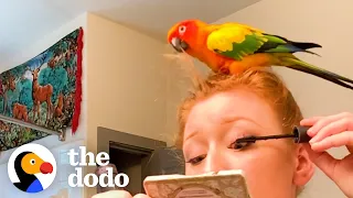 Parrot Has A Say In Every Single Thing His Mom Does — And She Loves It | The Dodo Soulmates