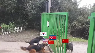 North Korean conflict summarized