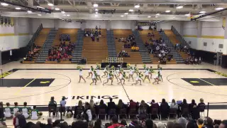 Montgomery High School Dance Team Pom 2015