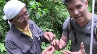 Christopher Marley:  Insect Collecting Central America Day 1