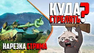 Нарезка стрима | Медоедиха - наводчик, Медоед - мехвод. КОТОПЁС в WoT