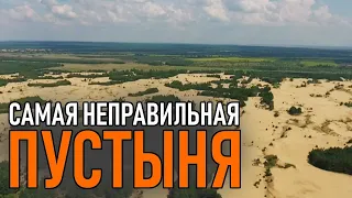 Пустыня Сахара в Воронежской области. Самая неправильная пустыня