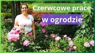 Jakie prace wykonujemy na początku czerwca w ogrodzie. #ogrodnictwo #piwonie