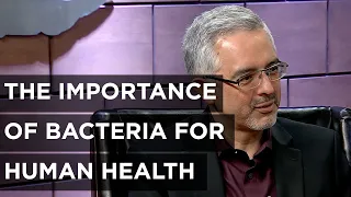 The Importance of Bacteria for Human Health