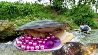 😱Giant mussels can bring me good luck. When I pry open them, countless purple pearls are so charming