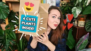 Surprise plants unboxing