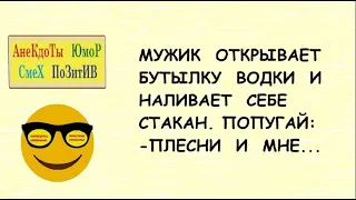 Анекдоты смешные! Короткие приколы! МУЖИК и ПОПУГАЙ    Юмор! Шутки! Смех! Позитив!