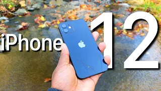 Should You Buy The iPhone 12? | Gotta Have It