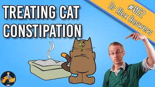 Cat Constipation: Home Remedy, Treatment and Prevention - Cat Health Vet Advice