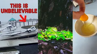 MOST STRANGEST THINGS YOU SHOULDN'T MISS | UNBELIEVABLE VIDEOS OF THE WORLD CAUGHT ON CAMERA