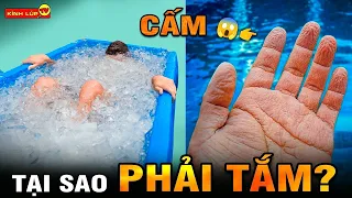 🔥 Đây Là Lý Do Có Bẩn Đến Đâu Bạn Cũng Không Nên Tắm Muộn I Kính Lúp TV